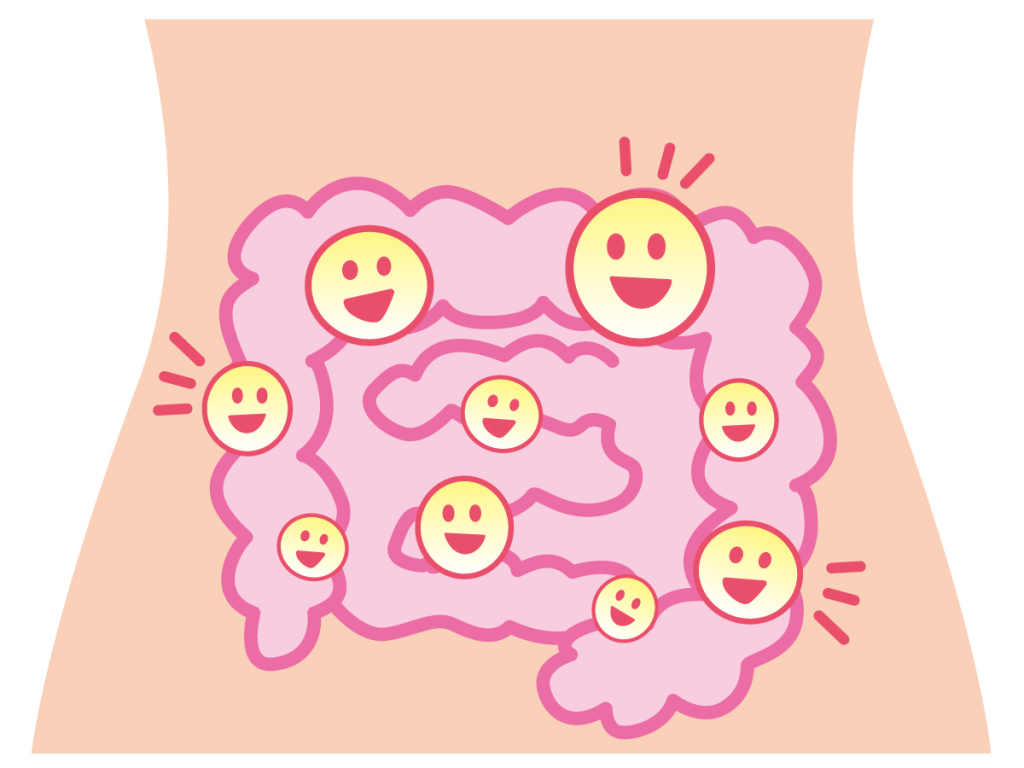 健康な腸をイメージしたイラスト