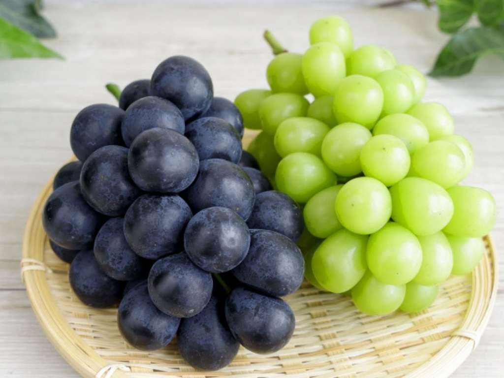 秋の食養生で紹介しているぶどう